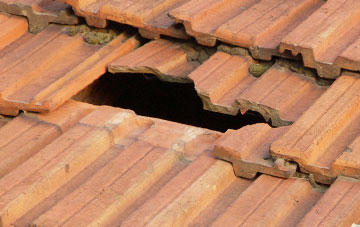 roof repair Millhayes, Devon